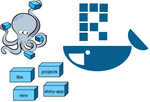 HomeLab 6: Dockerized RStudio Server, packages, persistent storage and SSL certs
