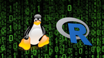 How to install R, R packages, RStudio and RStudio Server on Ubuntu Linux